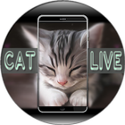 Cat Live Wallpaper ikona