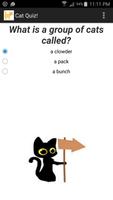Cat Quiz! poster