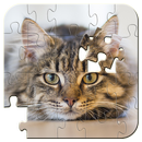 APK Jigsaw Puzzles Cats