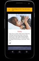 Secret World of Cats 截图 2