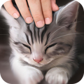 Pat the Cat Simulator