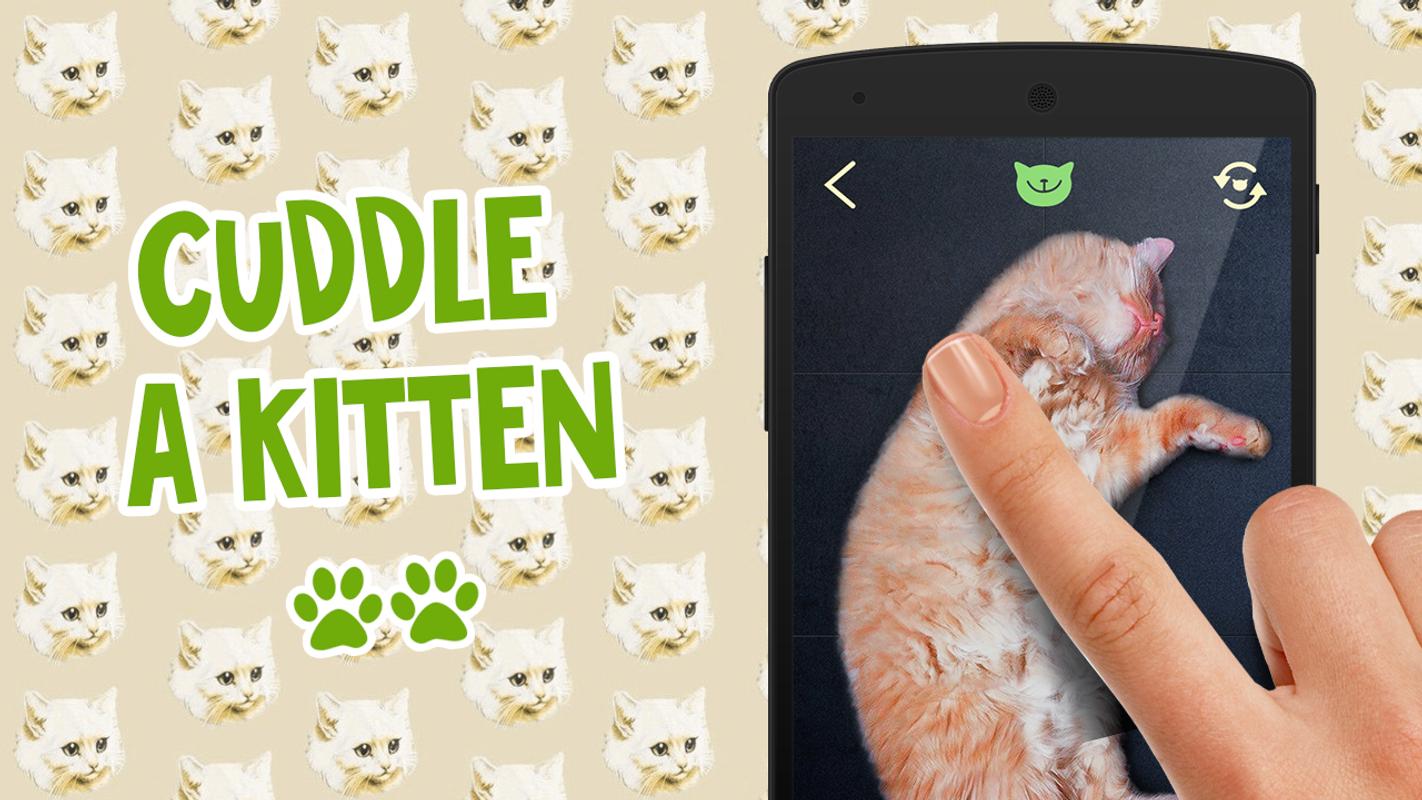 Pat Kot Symulator For Android Apk Download