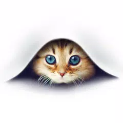 Find Cat by Meow Sound