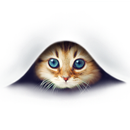找只猫，喵呜的声音 APK