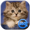 VR Cute Cats 360 APK