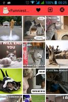 Funniest Cats Ever capture d'écran 1