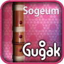 Sogeum(kr) APK