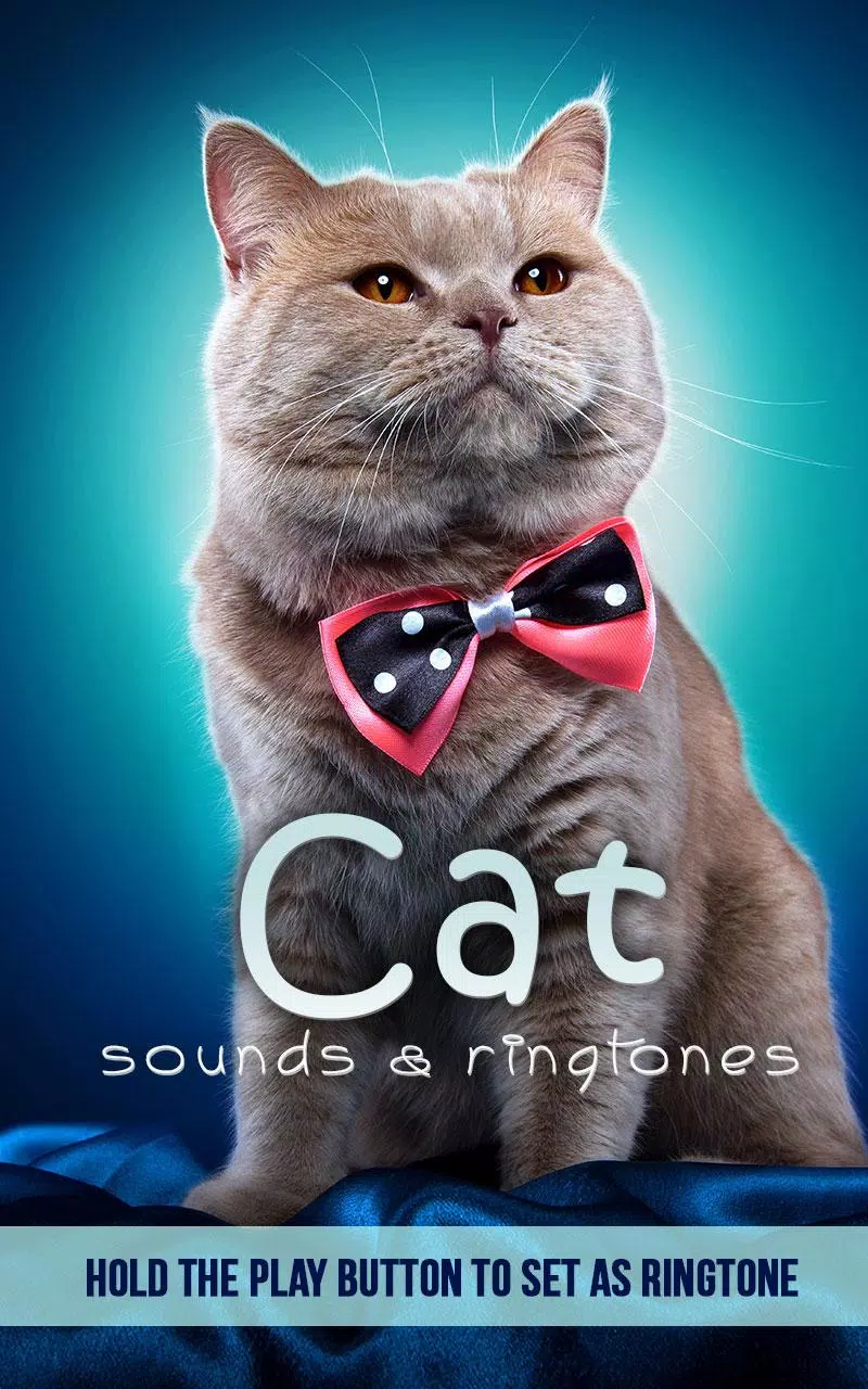 Kot Dźwięki Dzwonki APK do pobrania na Androida