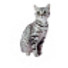 Cat Scratcher icon