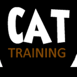 Cat Training Tips And Tutorial