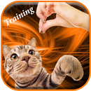 Cat Training APK