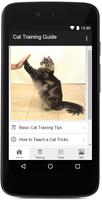 Cat Training Guide - Free Affiche