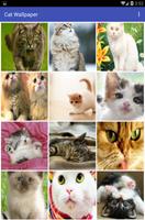 Cat Wallpaper स्क्रीनशॉट 1