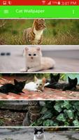 Cat Wallpaper स्क्रीनशॉट 1