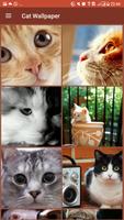 Cat Wallpapers & Background HD ภาพหน้าจอ 1