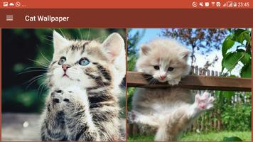 Cat Wallpapers & Background HD capture d'écran 3