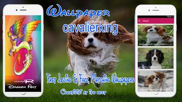 cavalier king charles spaniel wallpaper screenshot 1