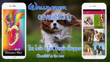 cavalier king charles spaniel wallpaper syot layar 2