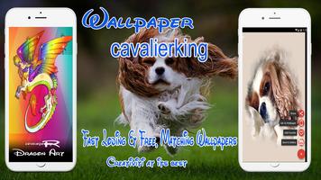 cavalier king charles spaniel wallpaper syot layar 3