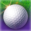 Golf-Motion Sensing Edition