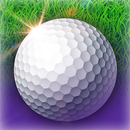 Golf-Motion Sensing Edition APK