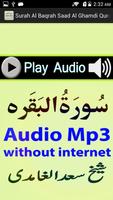 Audio Surah Baqrah Mp3 Saad capture d'écran 1