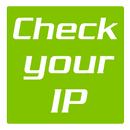 APK Check your IP