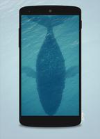Wallpapers (SGA5) screenshot 2