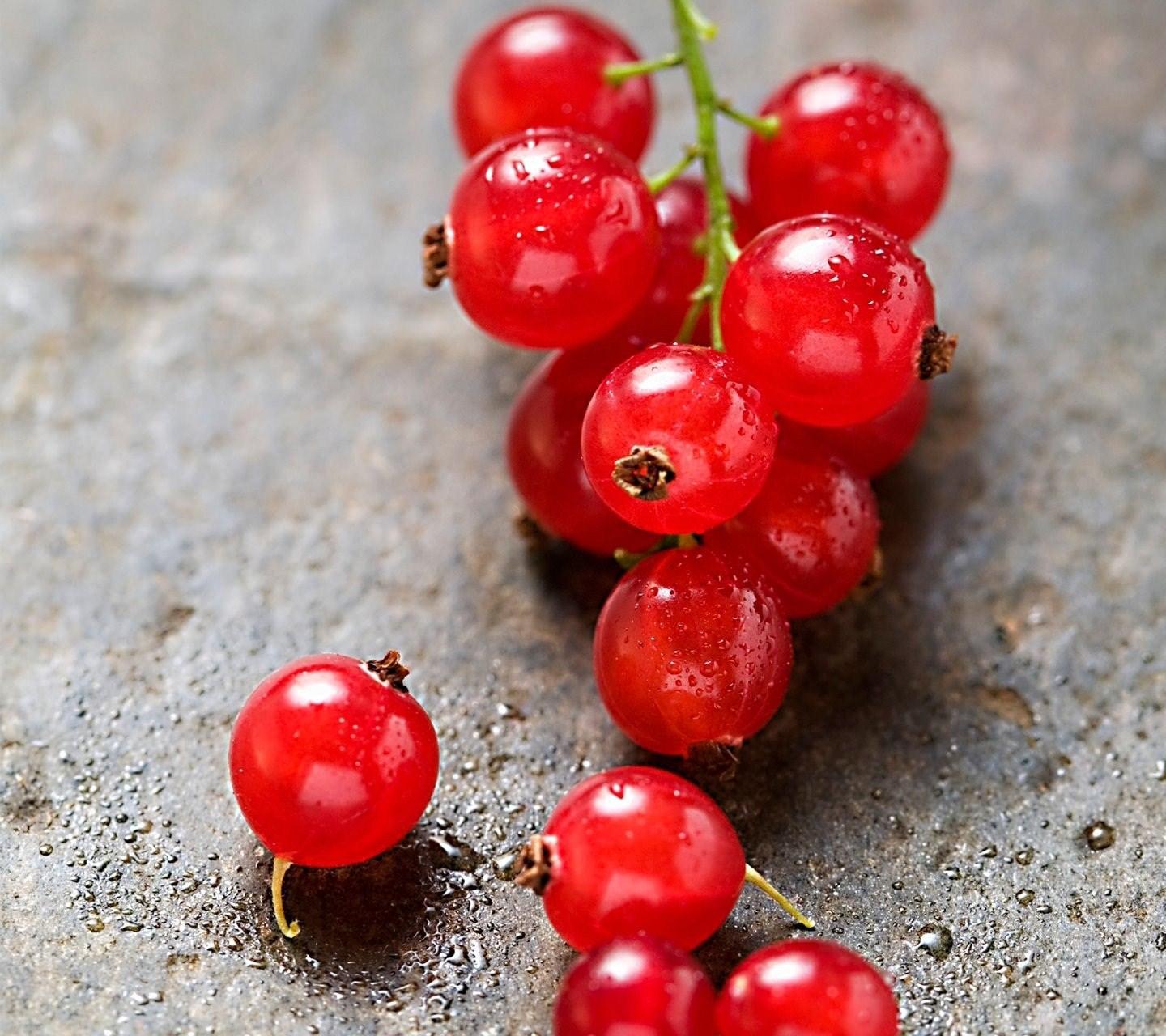 4 Kinds of Sparkling Red Wine to Try Berry fruit, Eat seasonal, Sparkling red wi