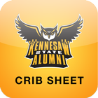KSU Alumni Crib Sheet-icoon