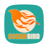 CCcamBird icône