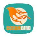 CCcamBird - Free and Premium servers - aplikacja