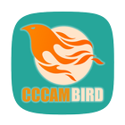 CCcamBird 아이콘