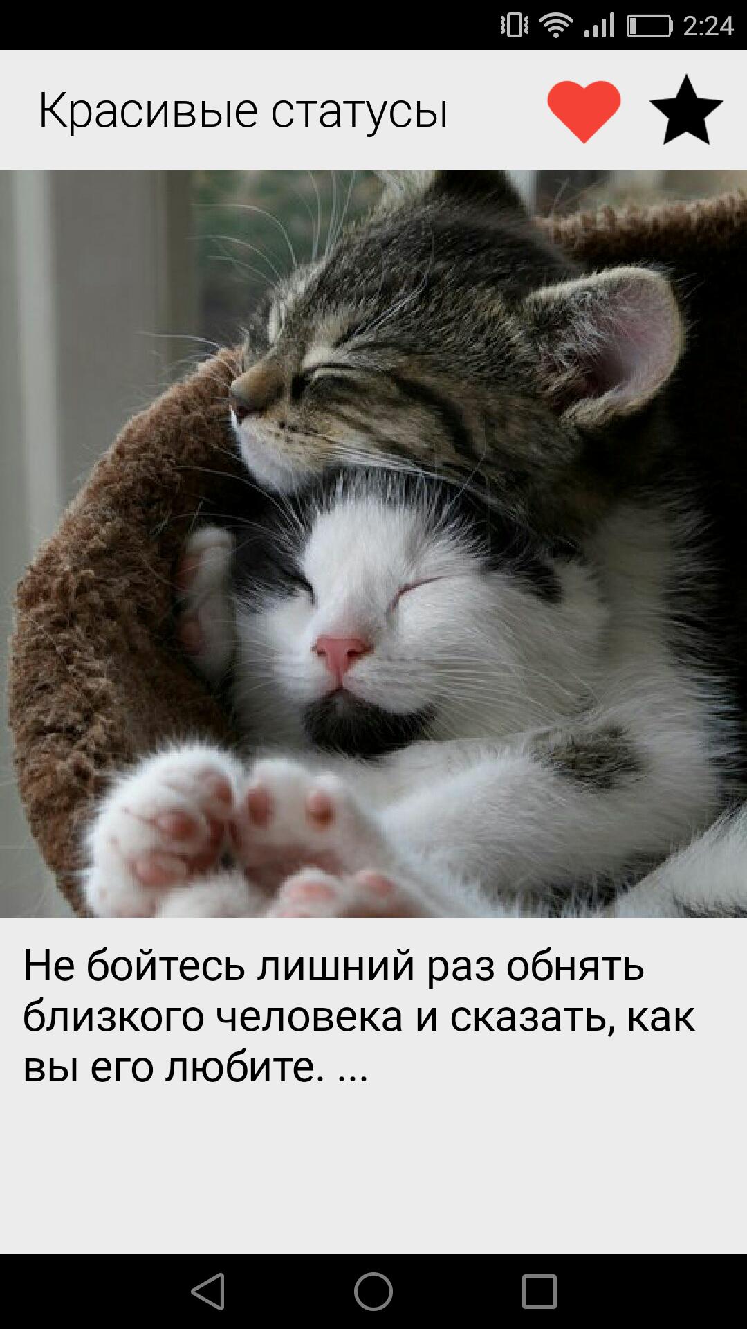 Красивые картинки для статуса в ватсапе