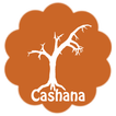 Cashana