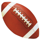 Pro Football Draft アイコン