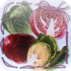 Cabbage Jigsaw Puzzles icon