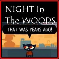 Guide Night in The Woods Affiche