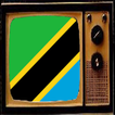 TV Tanzania Satellite Info