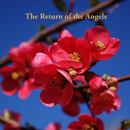 The Return of the Angels APK