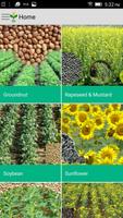 Oilseeds at a Glance screenshot 3