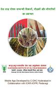 Oil Palm Nutrients Hindi 海报