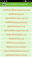 Oil Palm Diseases Hindi स्क्रीनशॉट 2