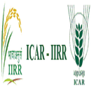 RKMP Rice Crop FAQ's APK