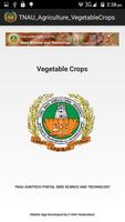 Vegetable Crops poster
