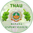 Banana Expert System biểu tượng