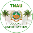 Coconut Expert System