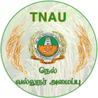 Paddy Expert System Tamil icône