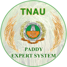 Paddy icono
