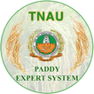 Paddy Expert System